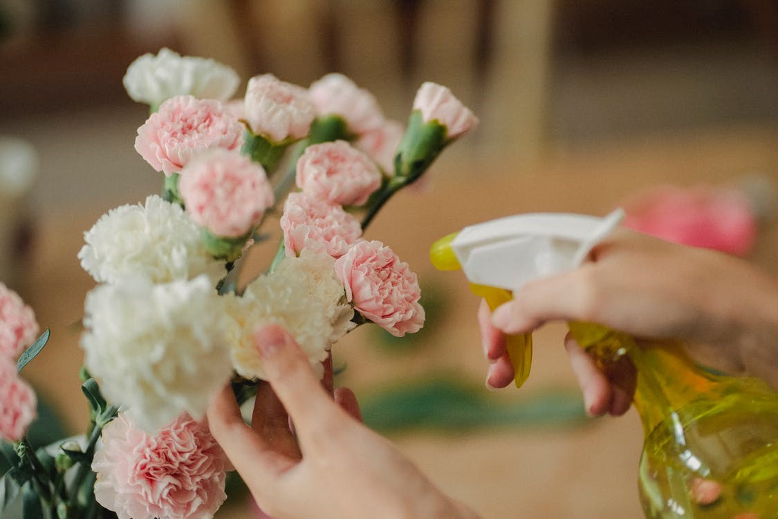 How To Clean Artificial Flowers? Saffron's Decor