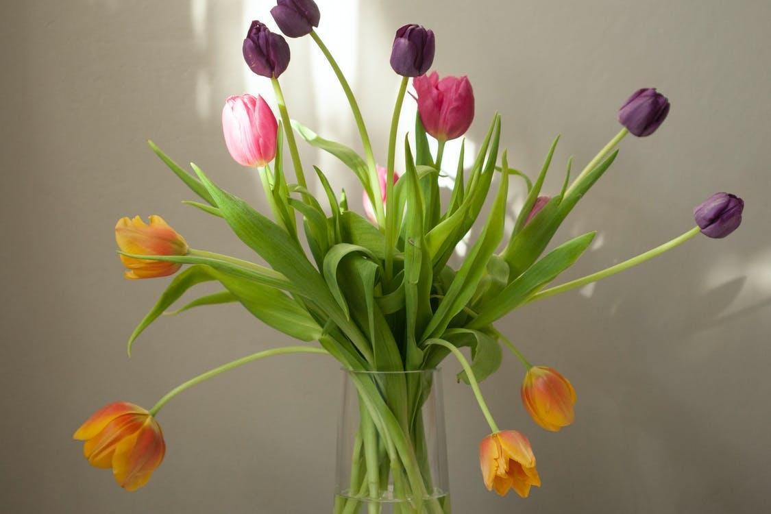 Photo of Tulips In Flower Vase tilting to the sides