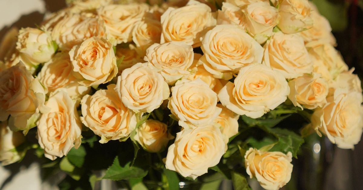 Blooming Yellow Roses in a Clear Vase