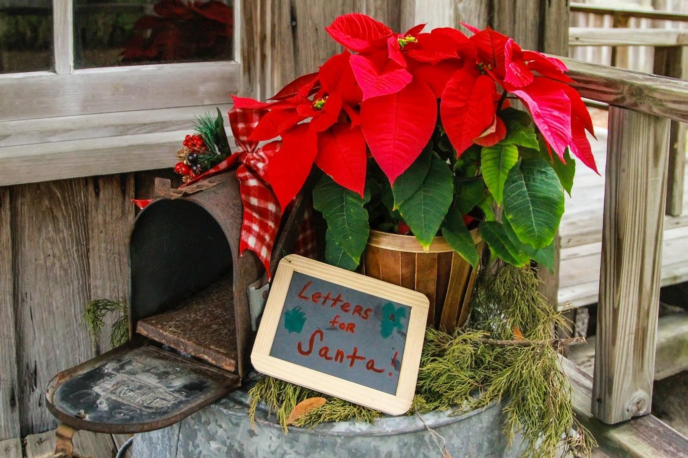 Christmas theme decorated letter box