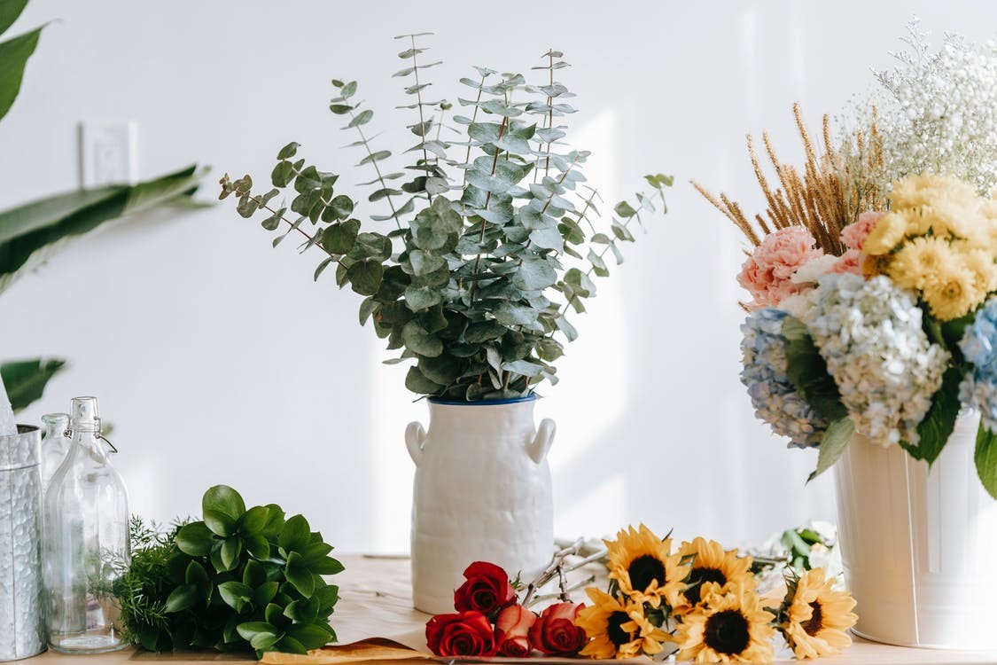 arranging Hydrangeas at Home