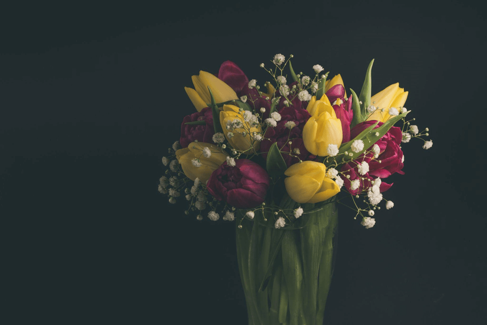 Ingredients Used For Flower Food For Tulips