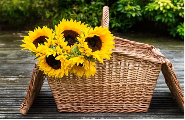 retirement flower basket