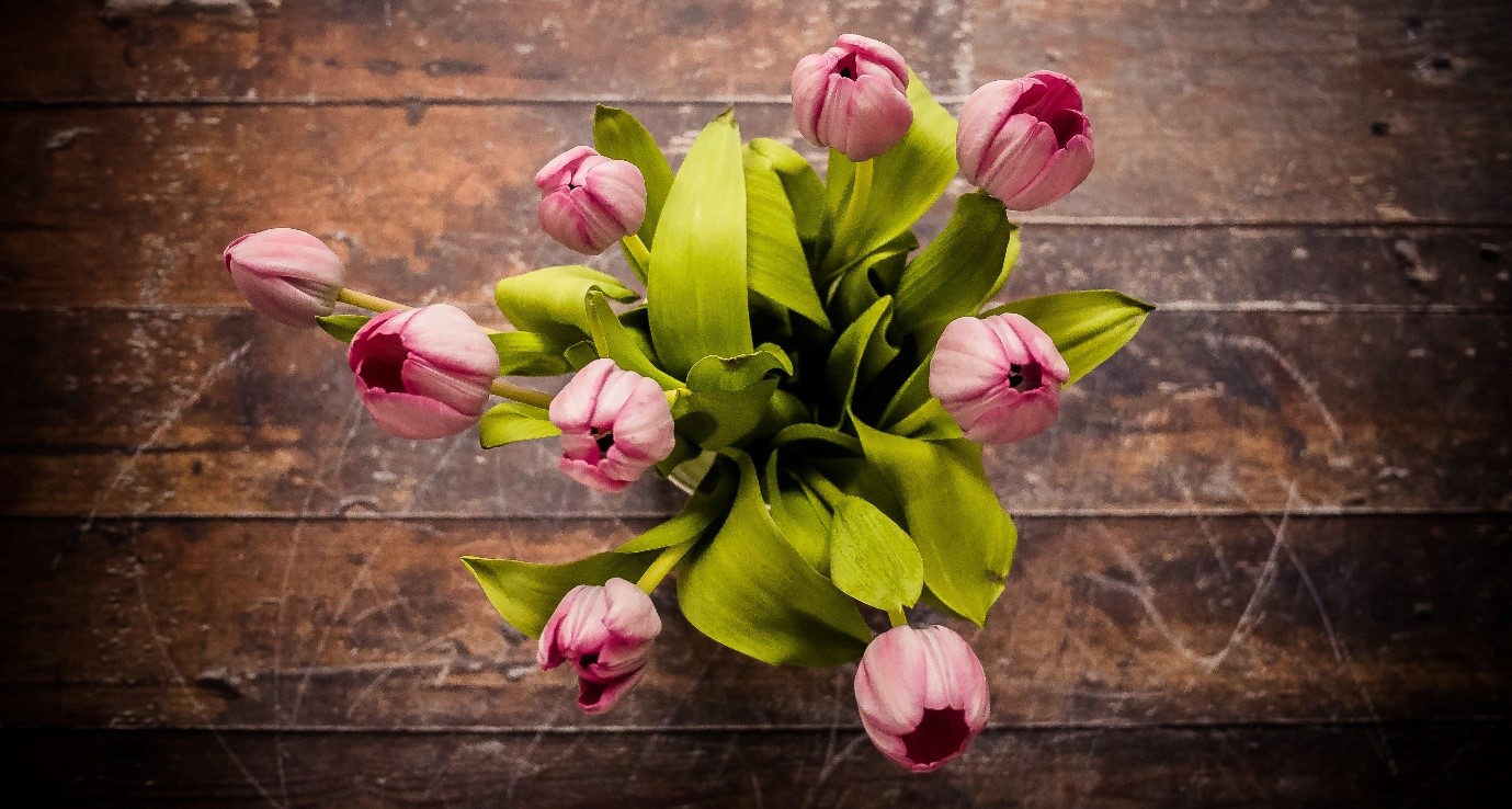 Tabletop artificial tulips 