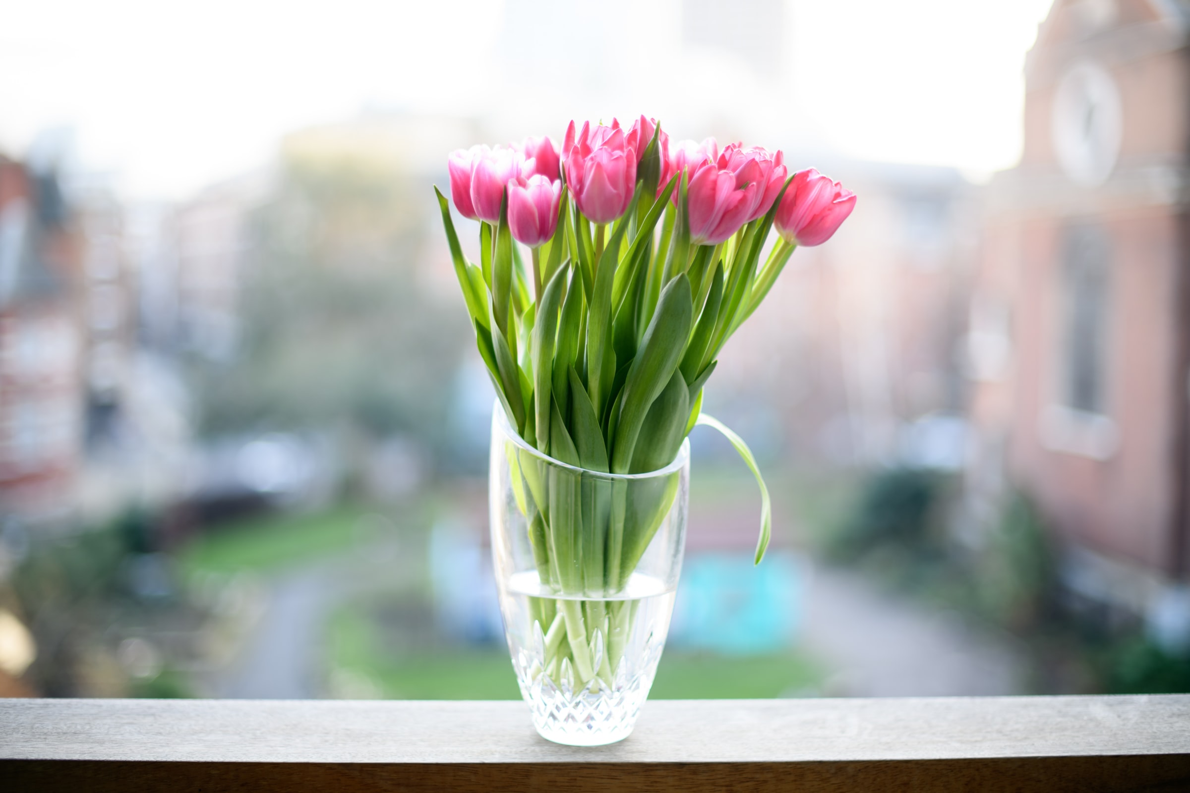 Tulips Arrangements