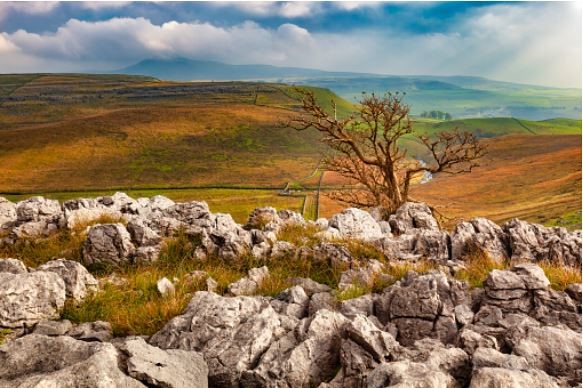 View of Yorkshire Dales